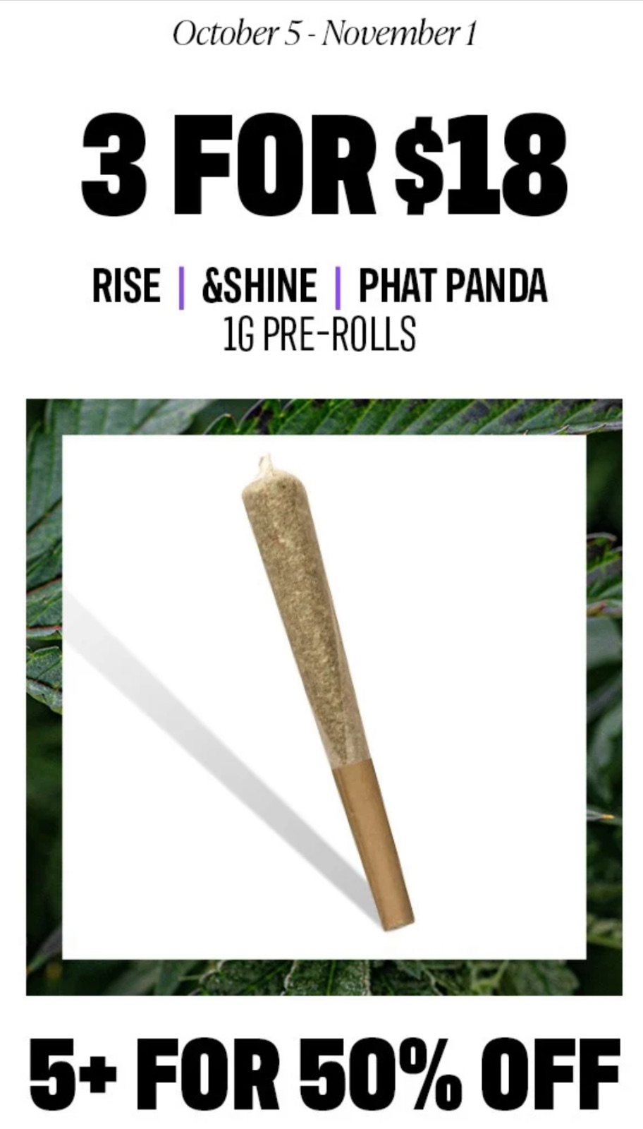 Rise graphic 2 of 4